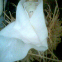 Presepio_51