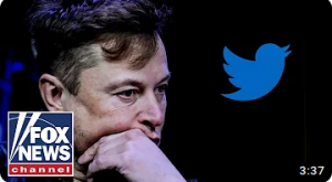 Elon Musk and Tweeter